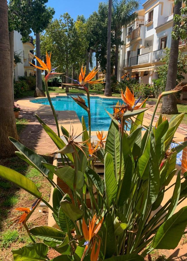El Patio - Apartment La Lubica Denia Eksteriør bilde